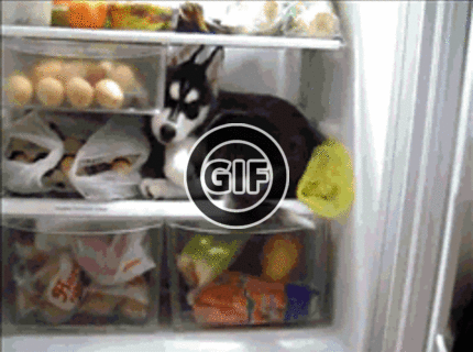 BRATM GIF: Vonku bolo príliš horúco :D