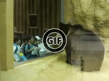 BRATM GIF: Krásna spolupráca :D