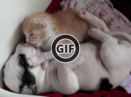 BRATM GIF: Takto sa ľúbime :)