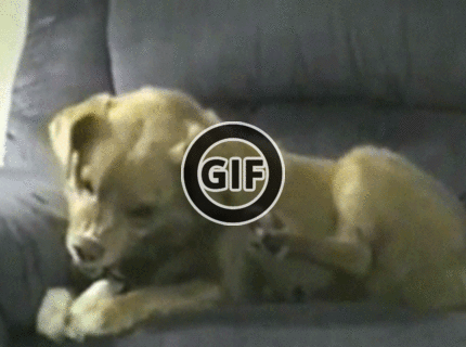 BRATM GIF: Tak toto je už moc :D