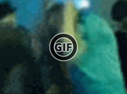 BRATM GIF: Ale určite má rytmus :D