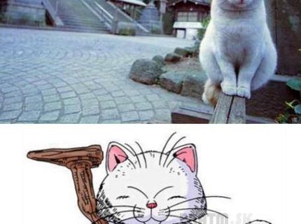 Roztomilá číííča  :D