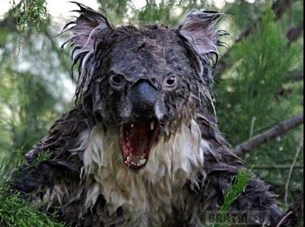 Čo ťa nezabije, to ťa posilní :D