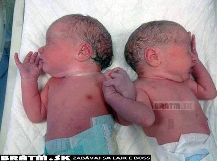 NÁDHERNÉ! Láska dvoch novonarodených súrodencov :)