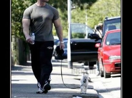 SVALY... to je ten dôvod :D :D