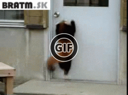 BRATM GIF: Preboha, pomôžte mu niekto otvoriť tie dvere :D