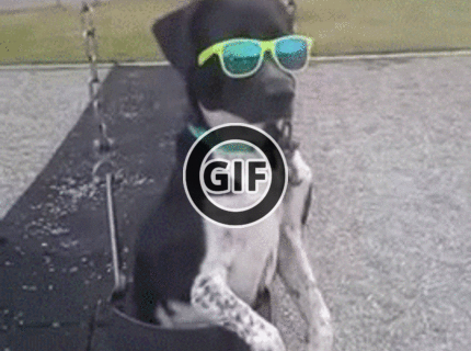 BRATM GIF: Like a boss :D