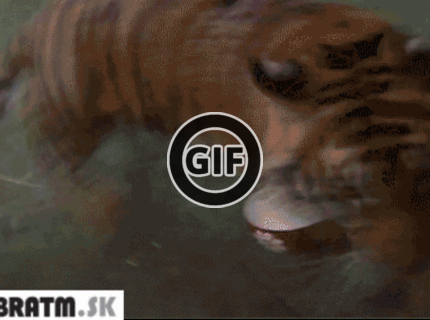 BRATM GIF: Čas na obed :D