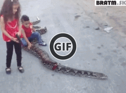 BRATM GIF: Venčenie hada :D