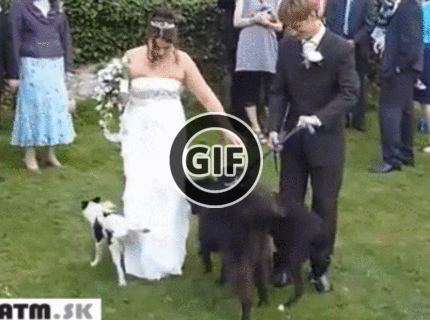 BRATM GIF: Prekvapenie pre nevestu :D
