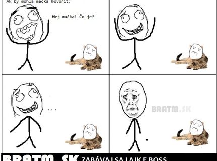 Keby mohli mačky hovoriť :D