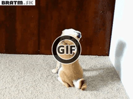 BRATM GIF: Všetkých vás sledujem ! :D