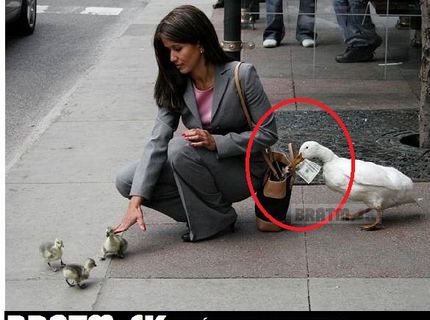 Roztomilá stratégia :D