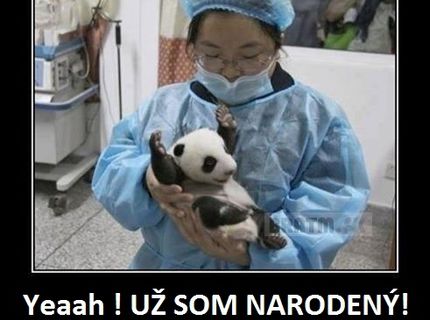 Rozkošná radosť z narodenia :D