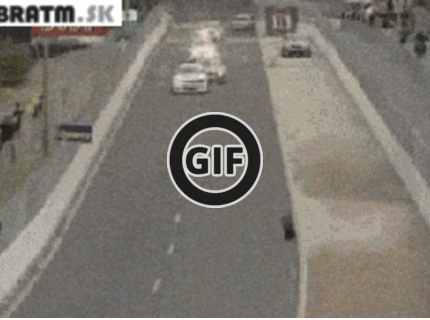 BRATM GIF: Sranda, presne vedela, kam má ísť :D
