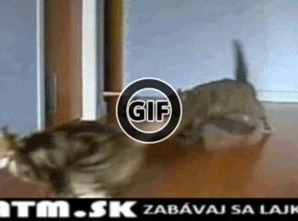 BRATM GIF: Umývanie dlážky už nie je potrebné :D