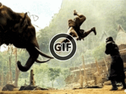 BRATM GIF: Kung fu :D