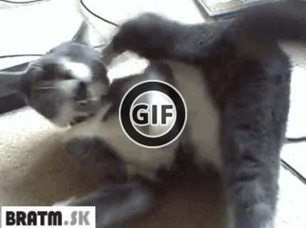 BRATM GIF: Vyzerá to, že má nejakú poruchu :D