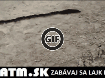 BRATM GIF: Myšky :D