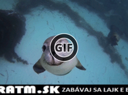 BRATM GIF: Nenormálne rozkošnééé :) :)