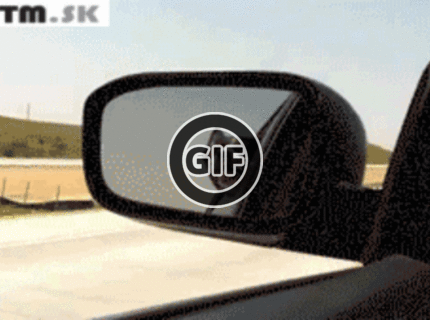 BRATM GIF: Pes, ktorý neznáša autá :D