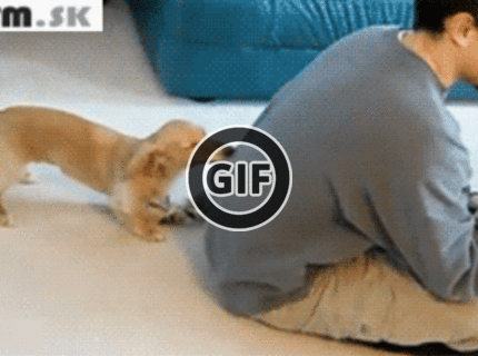 BRATM GIF: Kámo, poď sa somnou hrať :)