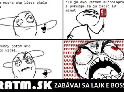 Aká je skutočnosť, keď sa snažíme zabiť otravnú muchu :D