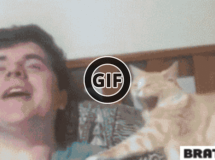 BRATM GIF: Napodobujúca mačka :D