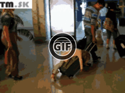 BRATM GIF: Únava z cestovania :D