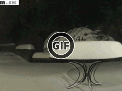 BRATM GIF: Krásna snehová nádielka :)