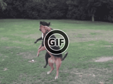 BRATM GIF: Šantenie s balónmi :D