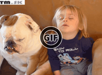 BRATM GIF: Roztomilá zaspávajúca dvojica :D