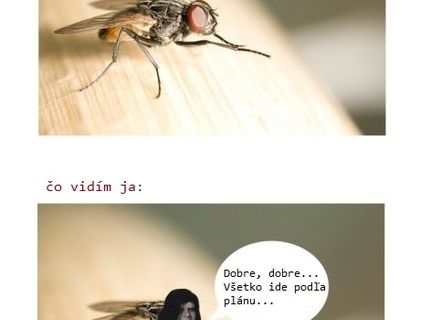 Čo si predstavujem, keď pristane mucha na mojej ruke :D