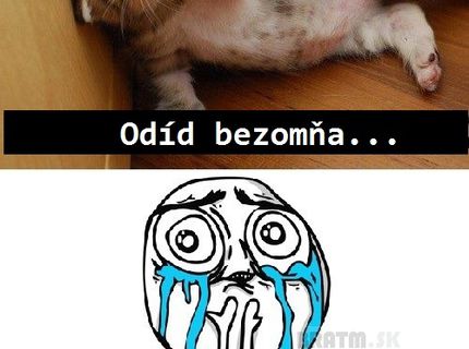 Roztomilé mačiatko :)