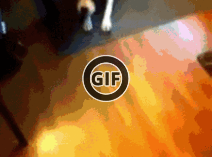 BRATM GIF: Je úplne jasné, ktorý z nich to bol :D