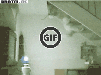 BRATM GIF: Toto zvládne asi iba mačka :D