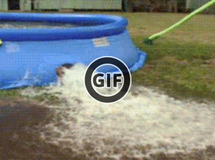 BRATM GIF: Chcelo by to trošku schudnúť :D