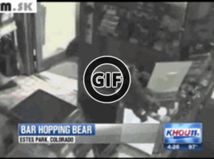 BRATM GIF: Nečakaná návšteva :D