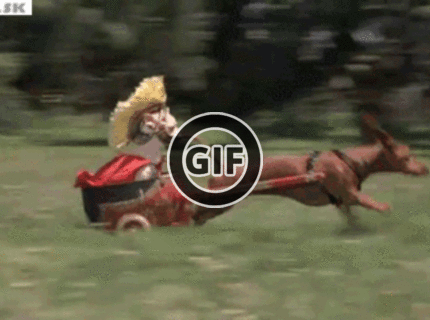 BRATM GIF: Úžasná dvojica :D