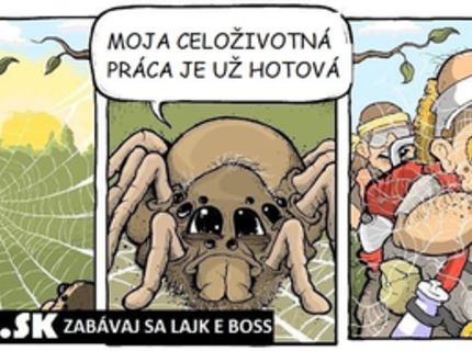 Celoživotná práca :D