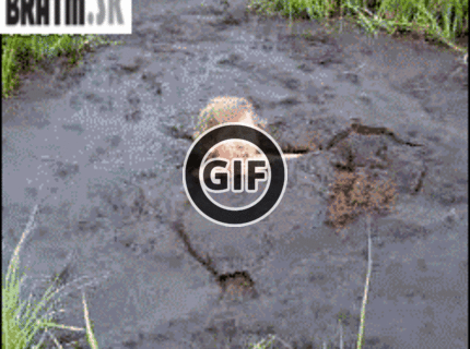 BRATM GIF: Prírodný bahenný kúpeľ :D