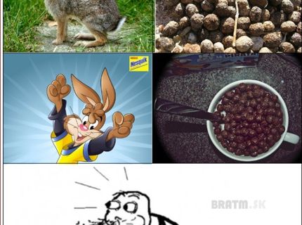 Naše obľúbené cereálie :D