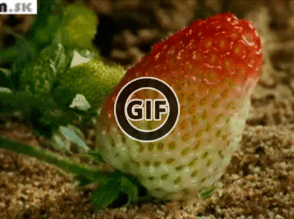 BRATM GIF: Zrejúca jahoda :D