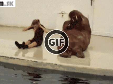 BRATM GIF: Každý sa chce dostať do formy :D