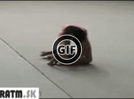 BRATM GIF: Ohybná žena :)