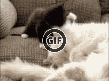 BRATM GIF: Tie sú ale podarené :)