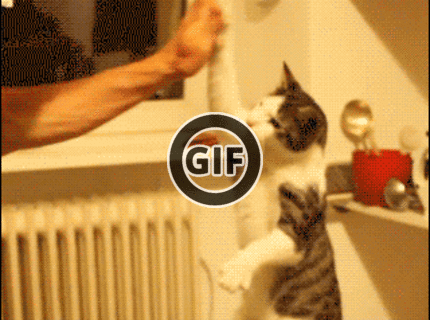 BRATM GIF: To je roztomilé... LIKE :)