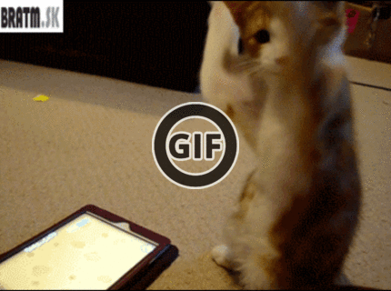 BRATM GIF: Skutočná radosť z hry :D