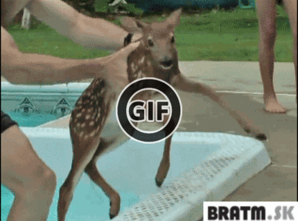 BRATM GIF: Ja chcem ešte pláááávať ! :D