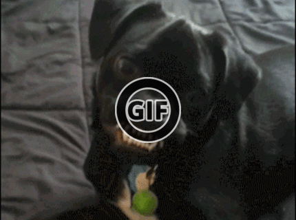 BRATM GIF: To je moja hračka ! :D